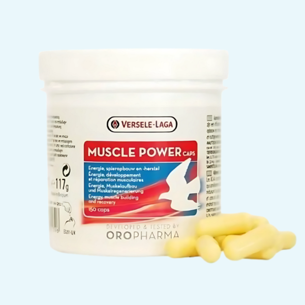 Muscle Power Capsules 150caps